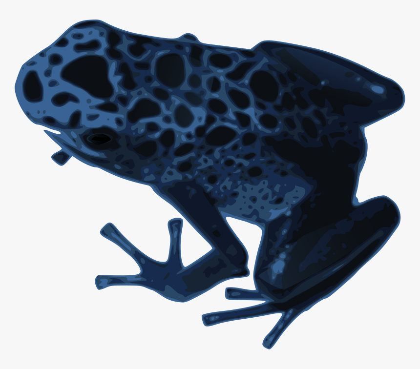 Newt Clipart - Blue Frog Png, Transparent Png