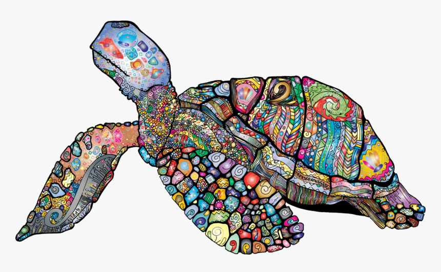 Turtle,organism,sea Turtle - World Sea Turtle Day 2019, HD Png Download