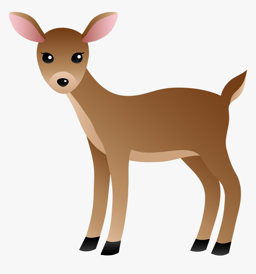 White Tailed Deer Clipart, HD Png Download