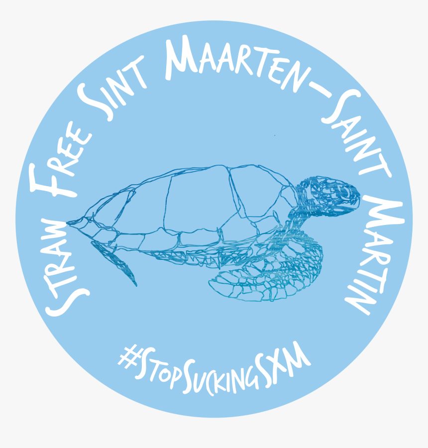 Transparent Snapping Turtle Png - Tooth Fairy, Png Download