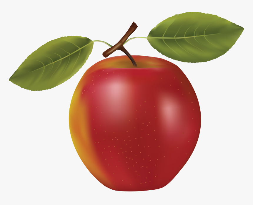 Cherries Apricots Apples Fruit 5 X7 Area Rug Clipart - Apple With Two Leaves, HD Png Download