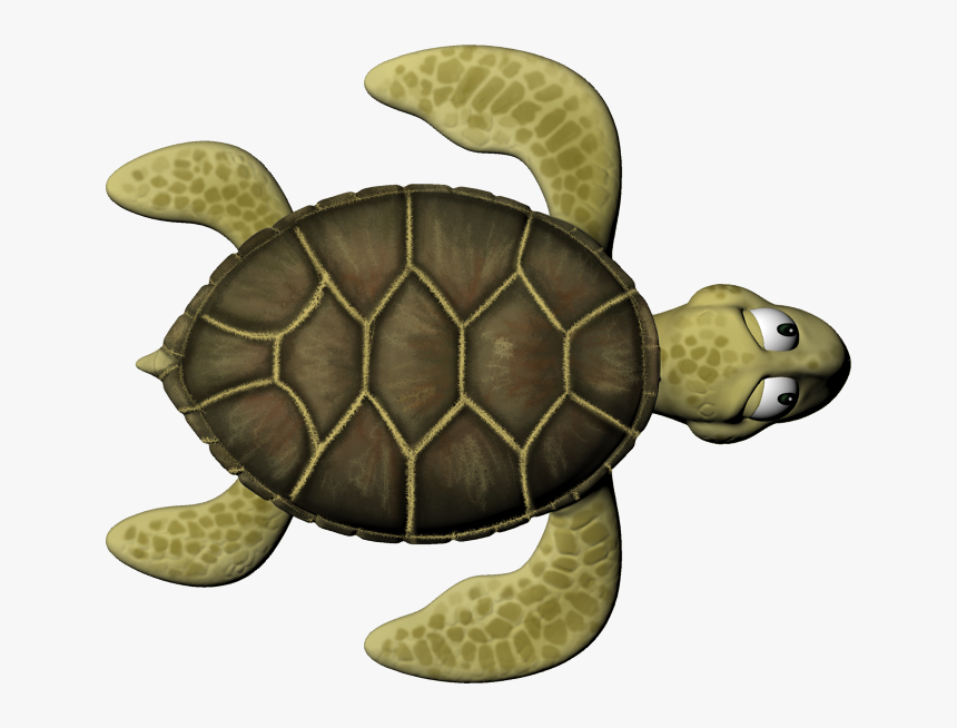 Sea Turtle 1 From Nathania Candra On Vimeo - Kemp's Ridley Sea Turtle, HD Png Download