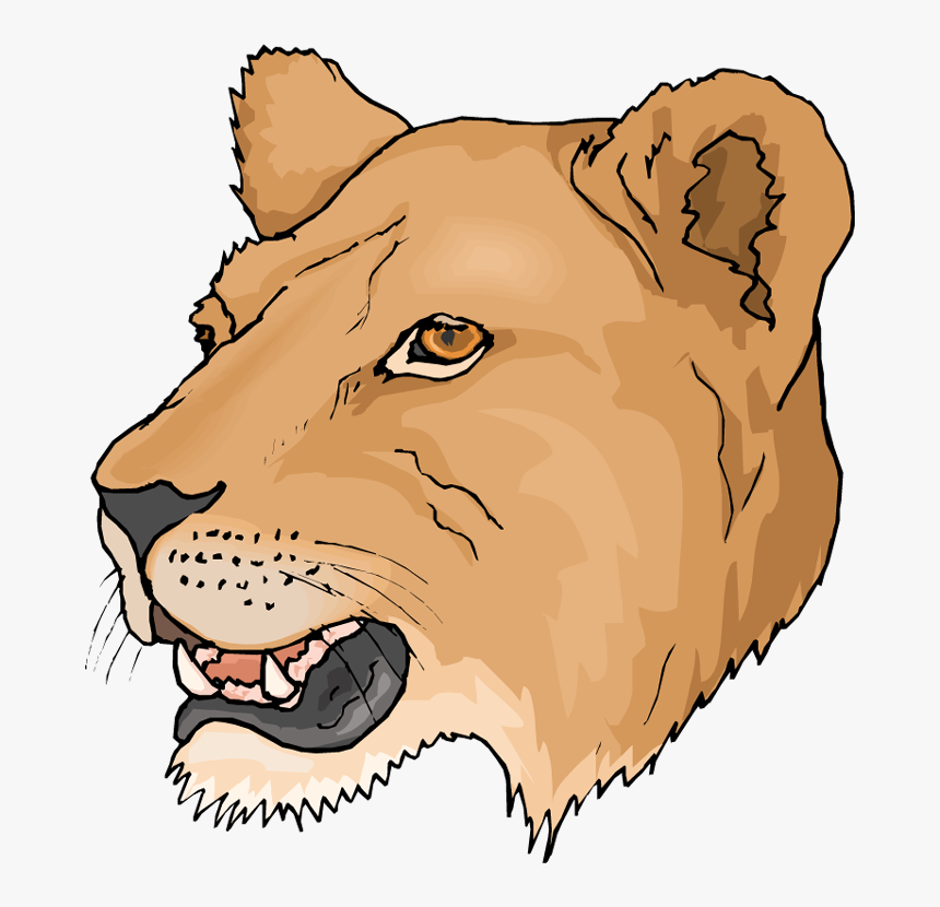 Free Head Lioness Clipart - Lioness Clipart, HD Png Download