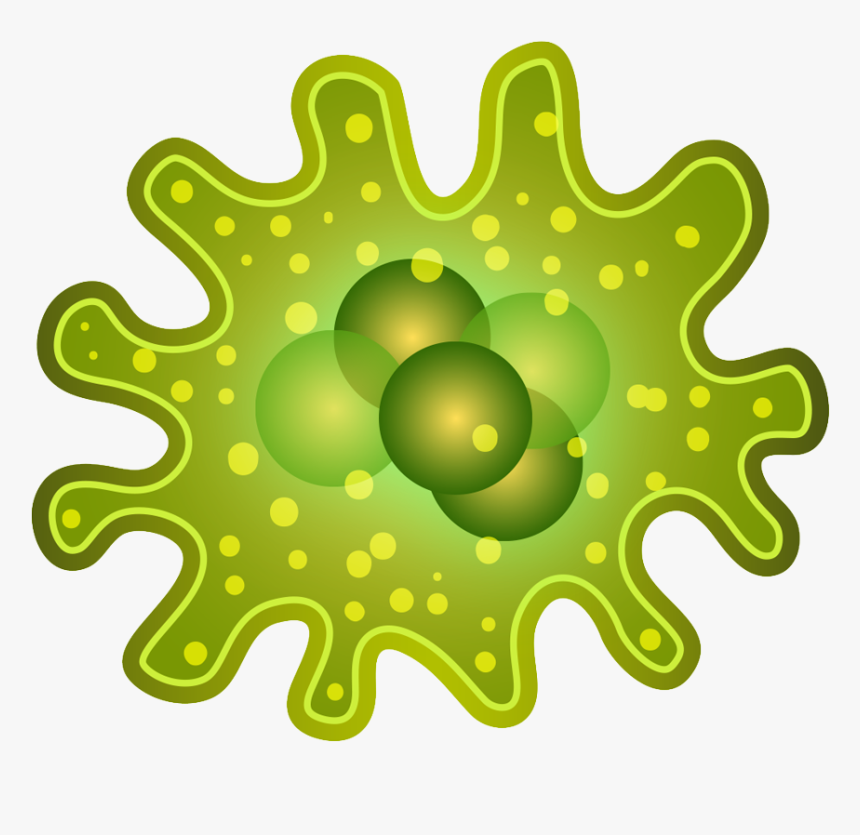 Smart Infectious Diseases For - Bacterias Png, Transparent Png