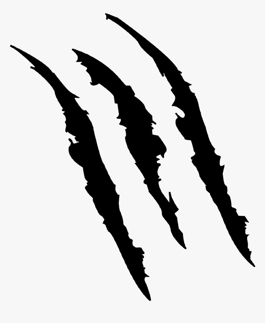 Cat-scratch Disease Bartonella Henselae - Tiger Claw Png, Transparent Png