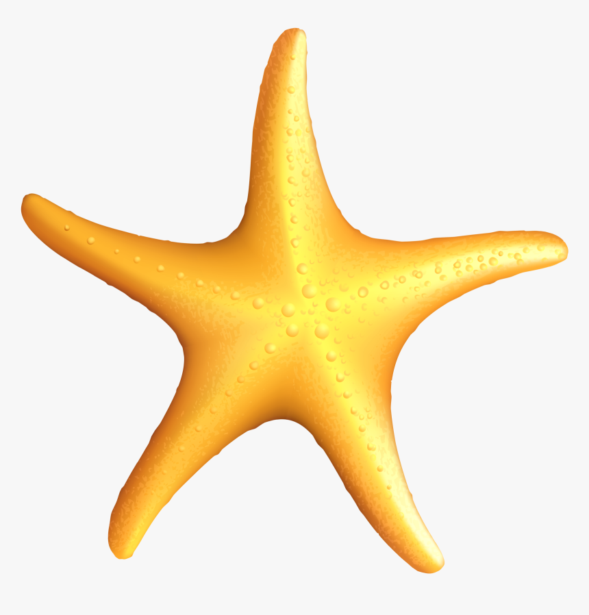 Star Fish Vector Png, Transparent Png