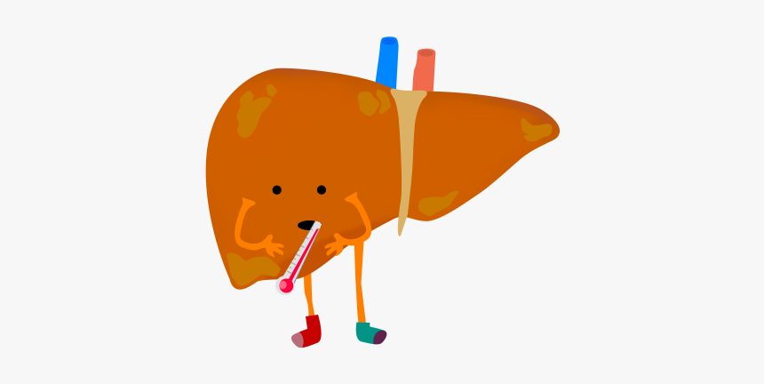 Sick Free On Dumielauxepices - Liver Pic Transparent Background, HD Png Download