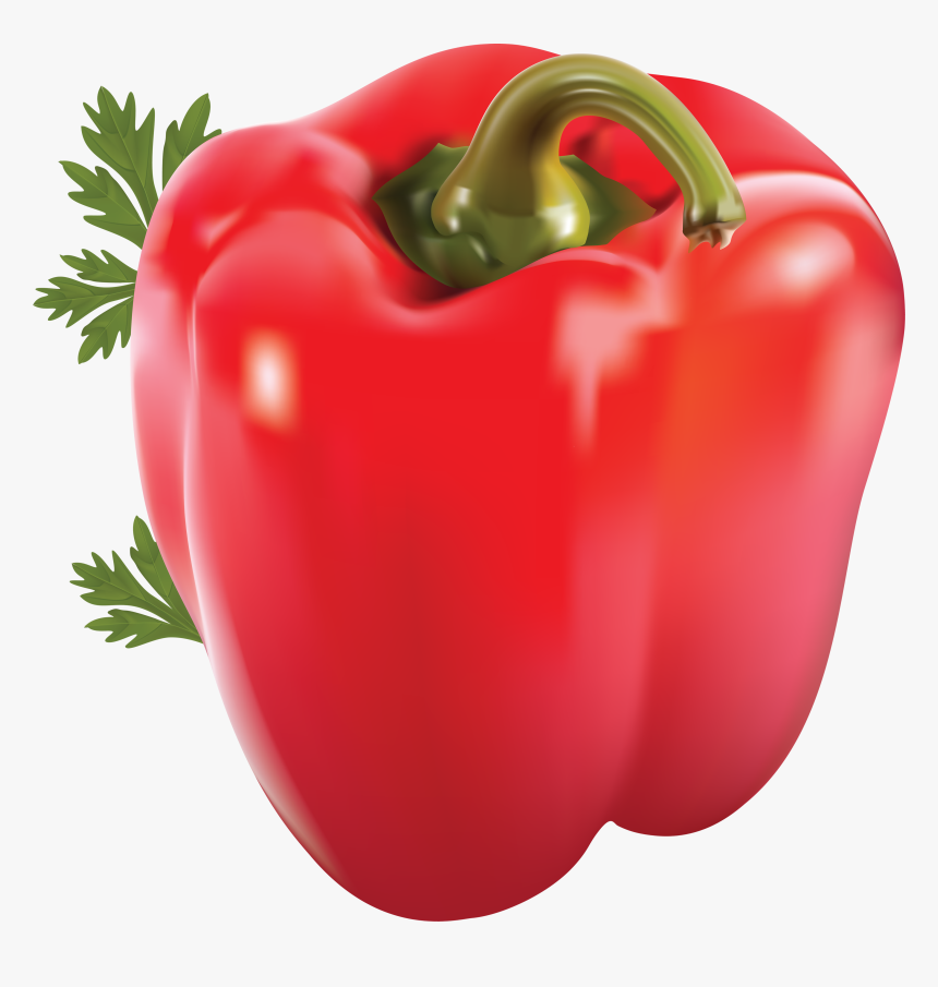 Pepper Png Image - One Red Bell Pepper, Transparent Png