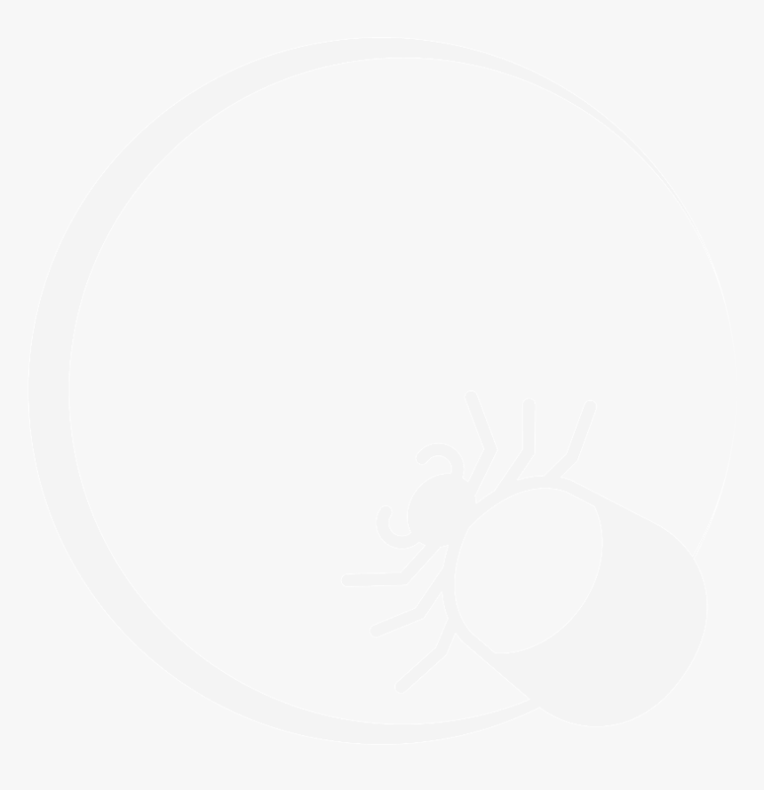 Lyme Disease - Piratpartiet, HD Png Download