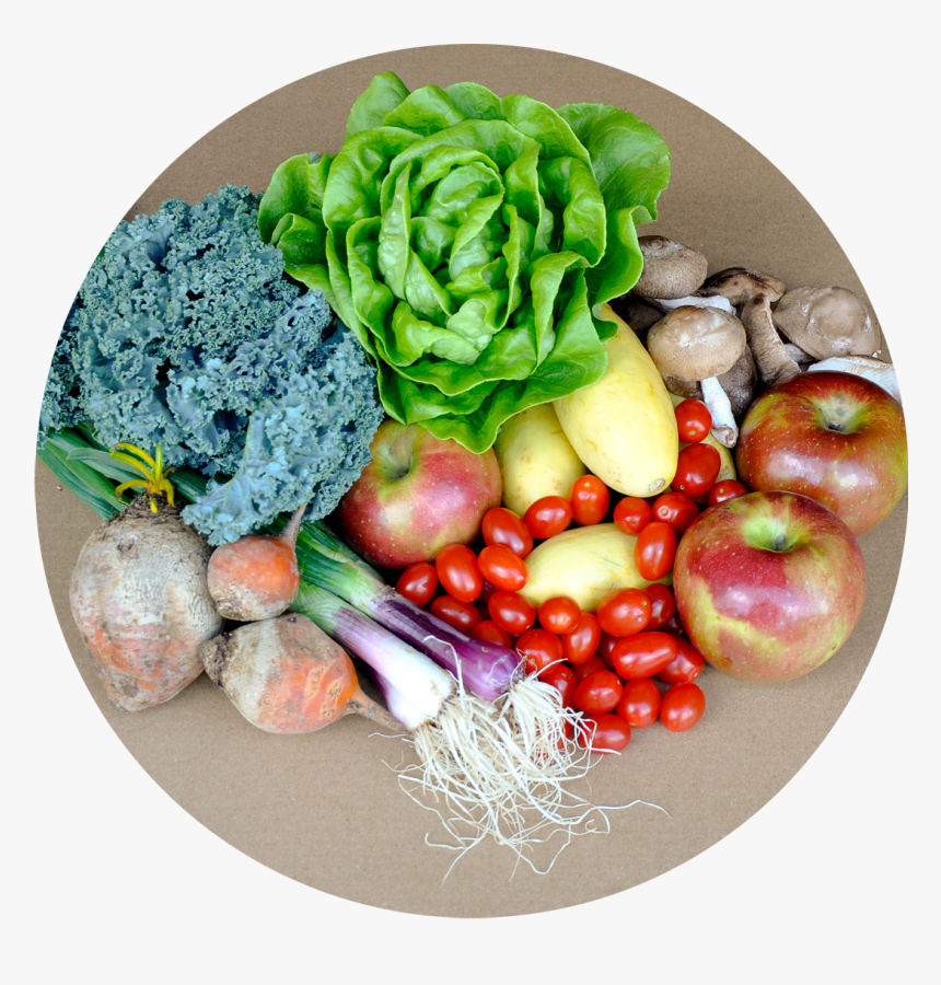 Transparent Clipart Fruits And Veggies - Broccoli, HD Png Download