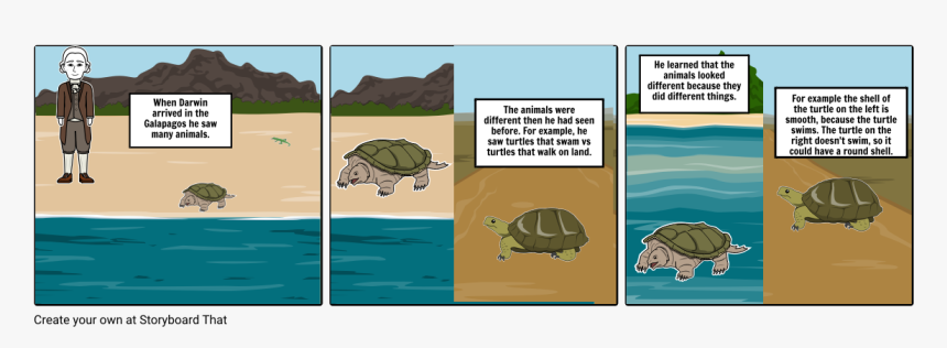 Rock Pocket Mice Cartoon, HD Png Download