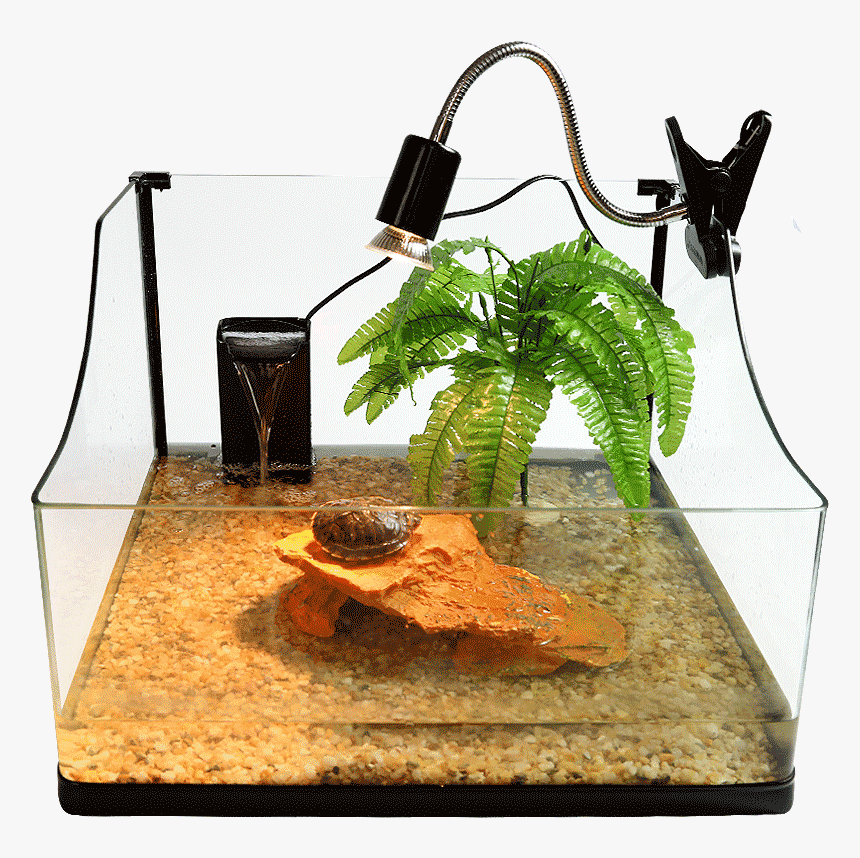 Aquarium, HD Png Download