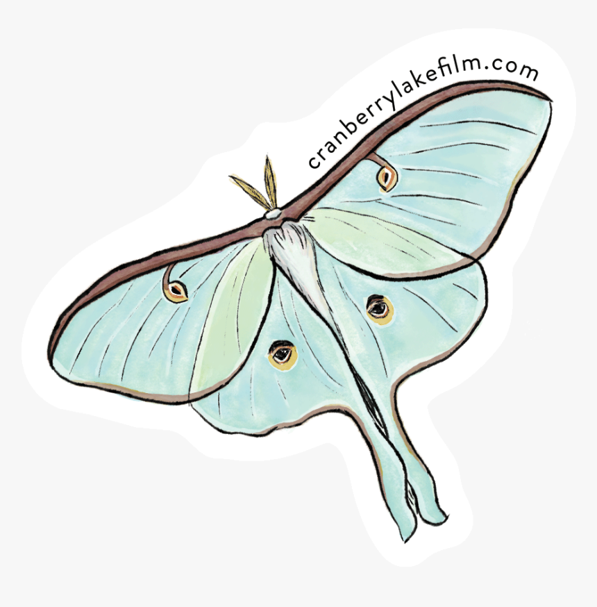 Cranberrylake Sticker Luna - Butterfly, HD Png Download