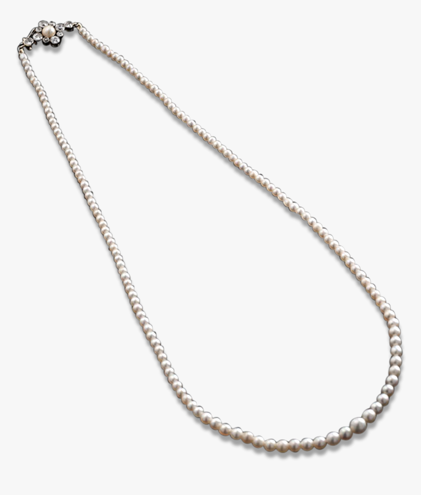 Graduated Saltwater Pearl Necklace - Chain, HD Png Download