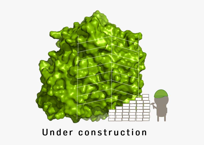 Under Construction - Illustration, HD Png Download