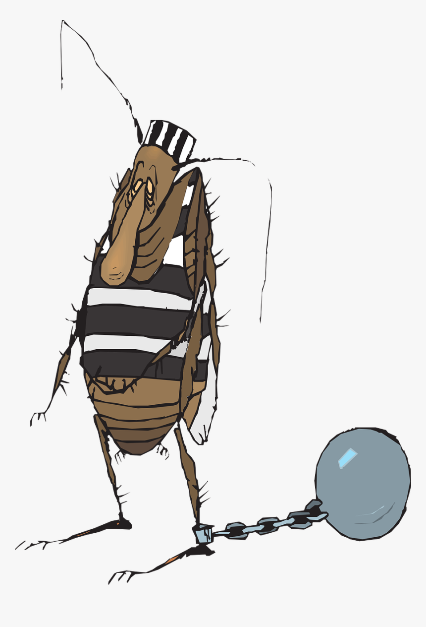 Ball Chain Bug Free Picture - Jail Bug, HD Png Download