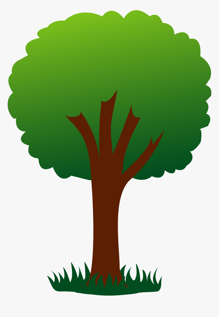 Trees Clip Art Amp Look At Trees Clip Art Clip Art, HD Png Download