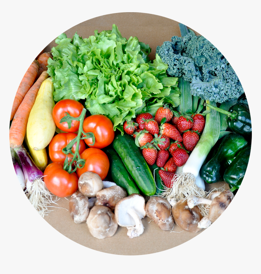 Transparent Basket Of Fruit Clipart - Basket Of Fruits And Vegetables, HD Png Download