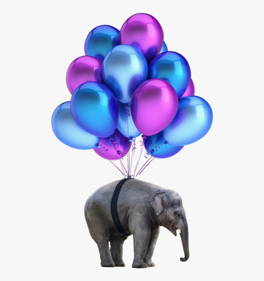 #elephant #png #nobackground #balloons - 18 Balloons For Debut, Transparent Png