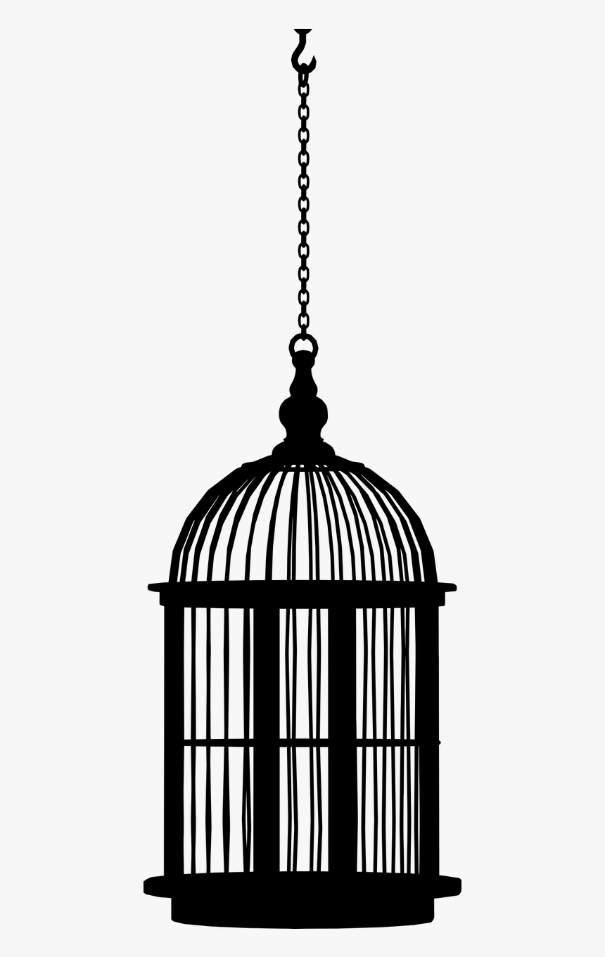 Cage Without A Bird, HD Png Download