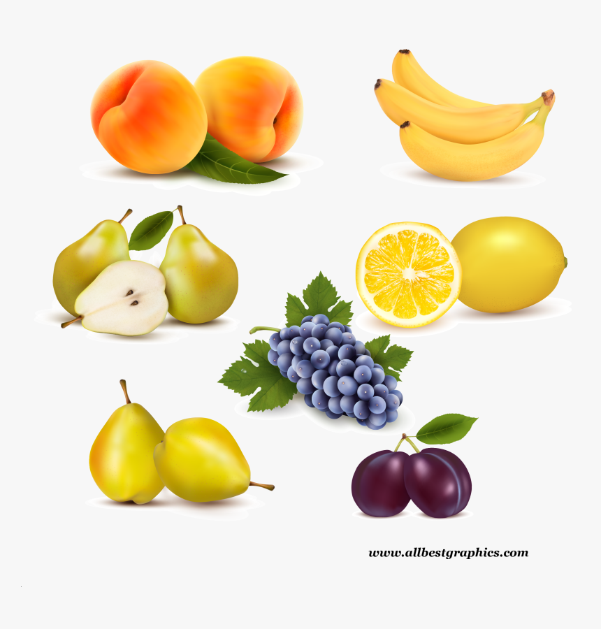 Clip Art, HD Png Download