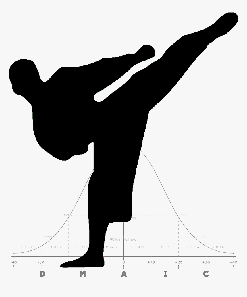 Transparent Black Belt Png - Karate Kick, Png Download
