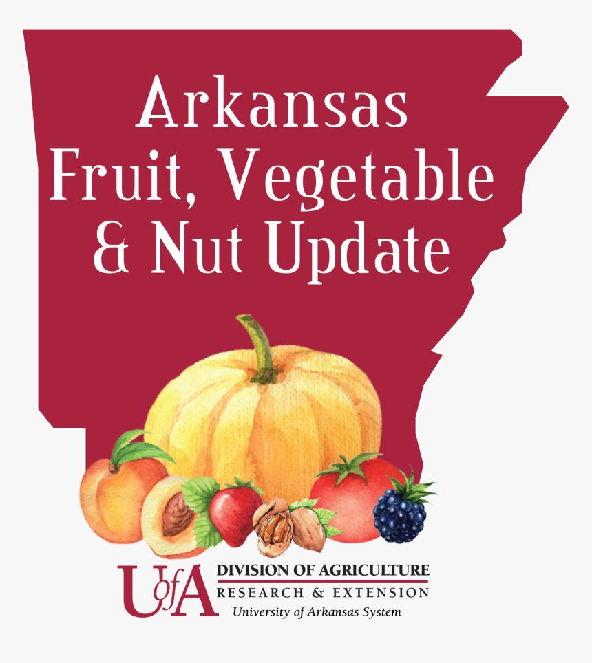 Arkansas Fruit, Vegetable And Nut Update - University Of Arkansas System, HD Png Download