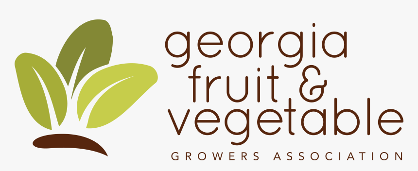 Organics Fruits Logo - Calligraphy, HD Png Download