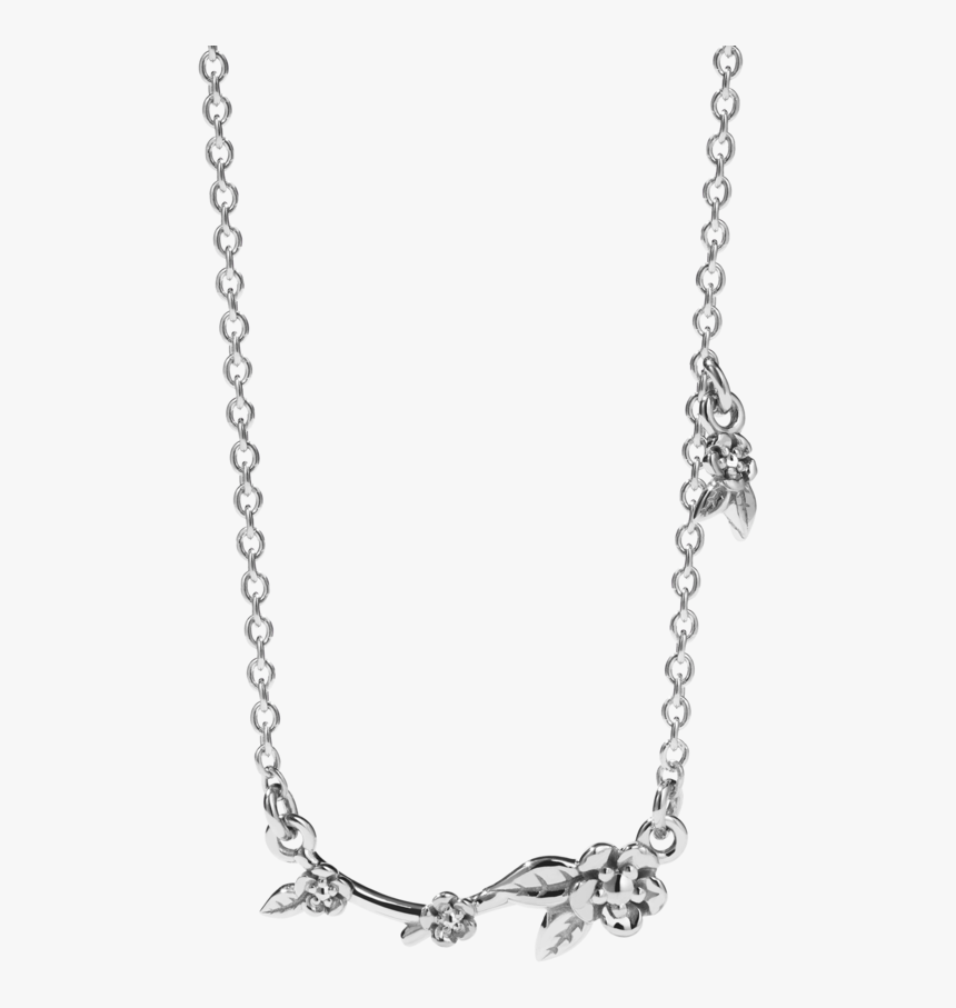 Necklace, HD Png Download