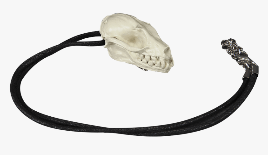 Bat Skull Necklace Pin - Wire, HD Png Download