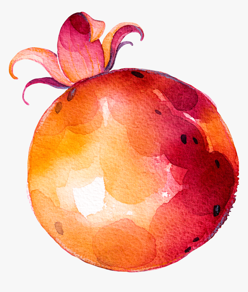 Fruit Vegetable Drawing - Drawing Of Fruit And Vegtables, HD Png Download