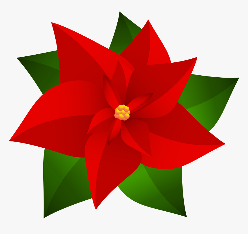 Poinsettia Transparent Snow - Drawing Of Christmas Flowers, HD Png Download