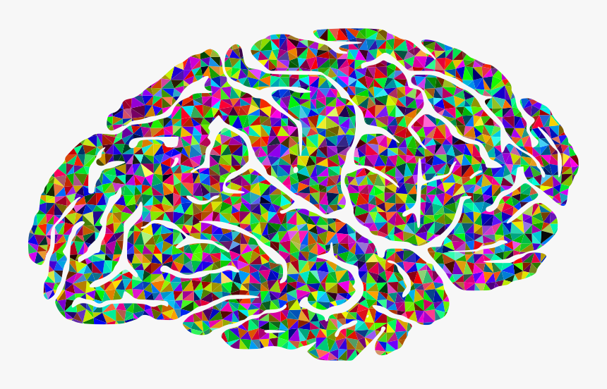 Magnetite In Humans Brain, HD Png Download
