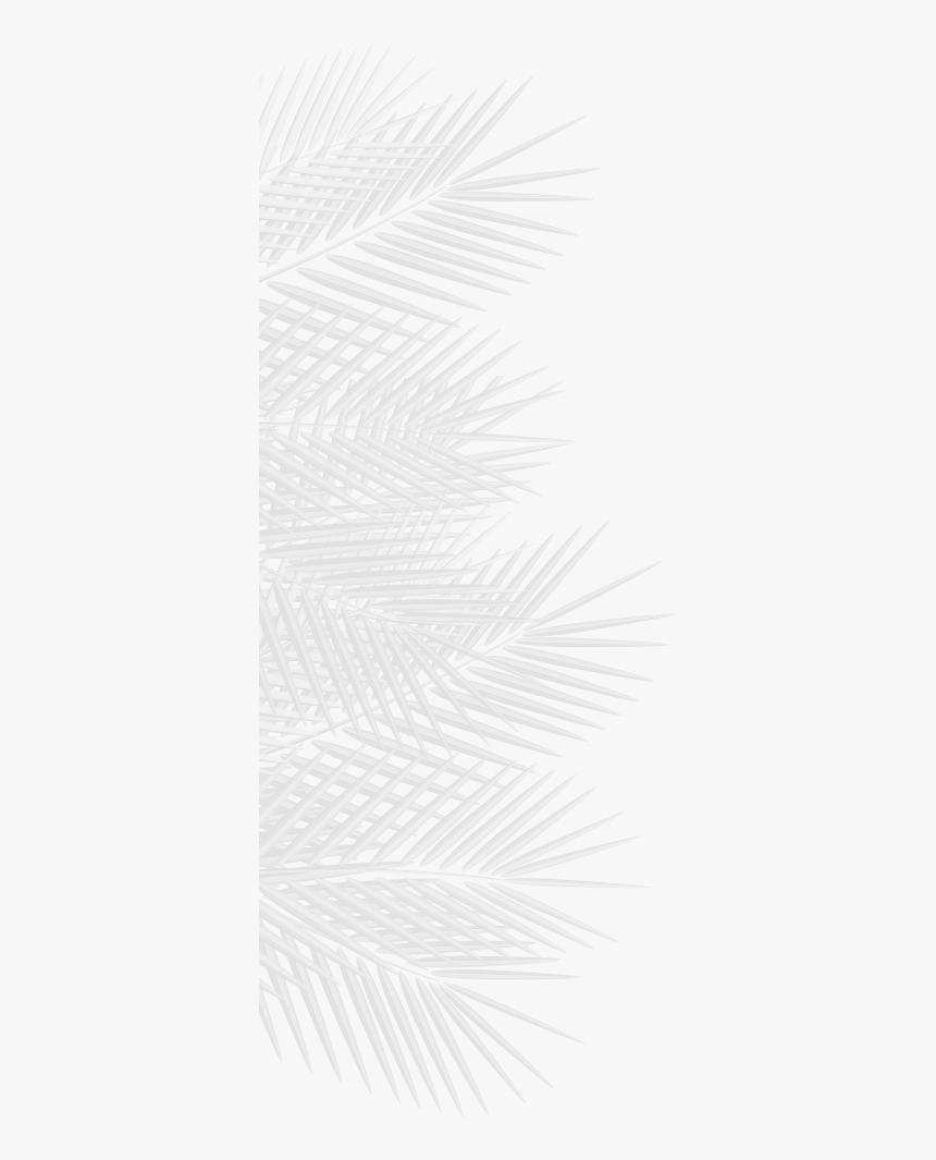 Left Img - Monochrome, HD Png Download