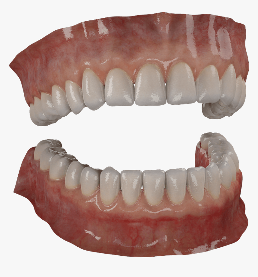 Transparent Wolf Teeth Png - Teeth Modeling, Png Download