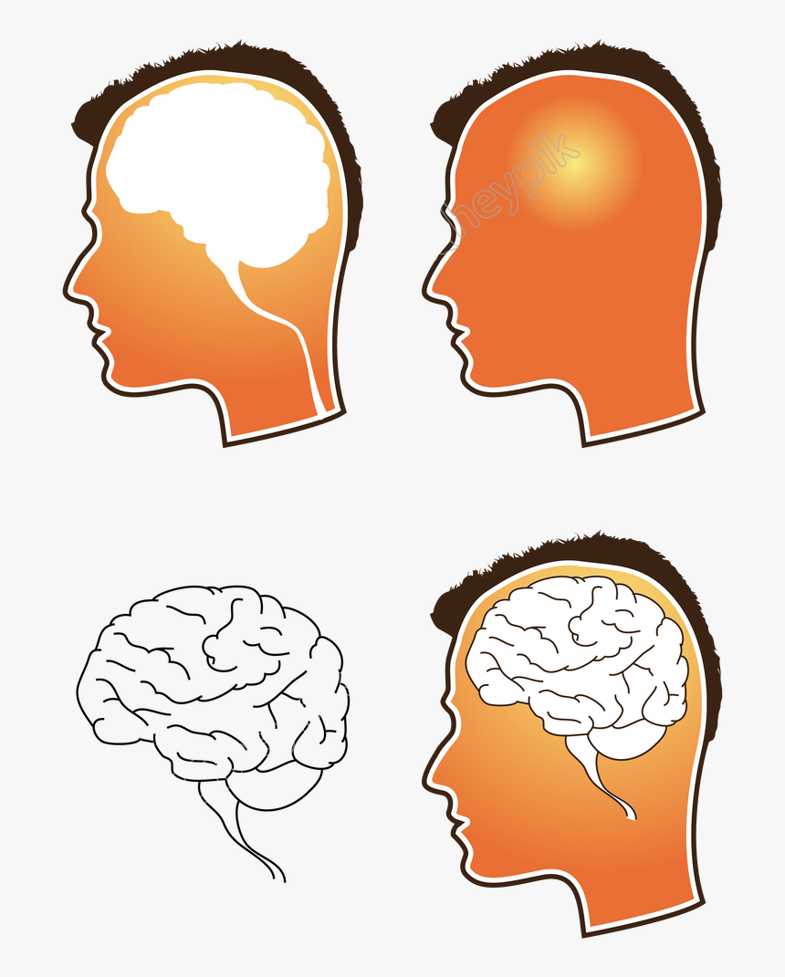 Human Brain Png - Free Vector Brain, Transparent Png