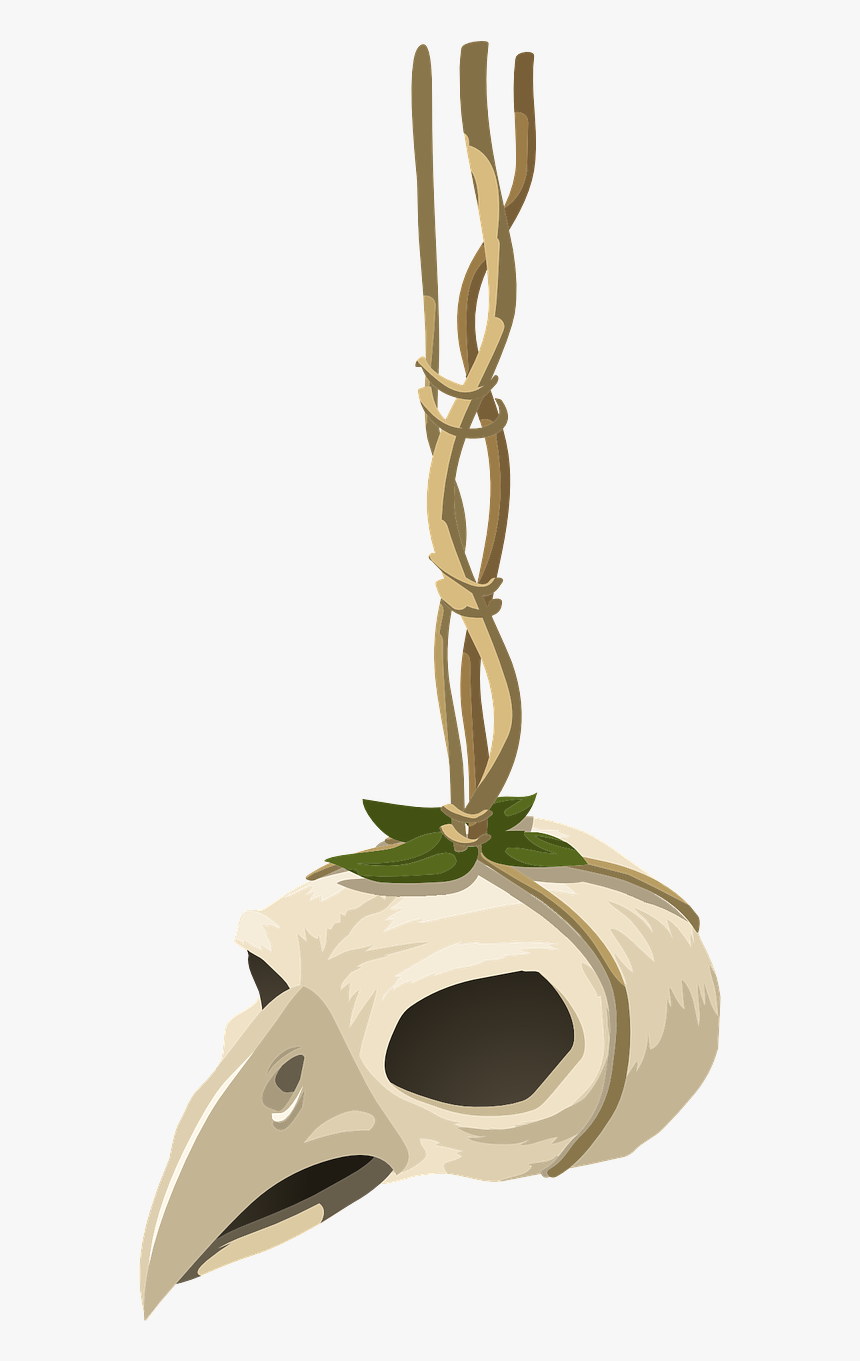 Skull, HD Png Download