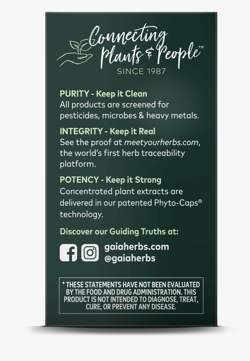 Flyer, HD Png Download