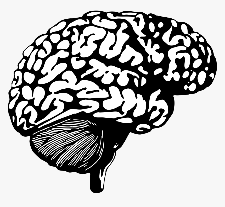 Brain Clear Transparent Clipart Pictures Free Png - Brain Good And Evil, Png Download