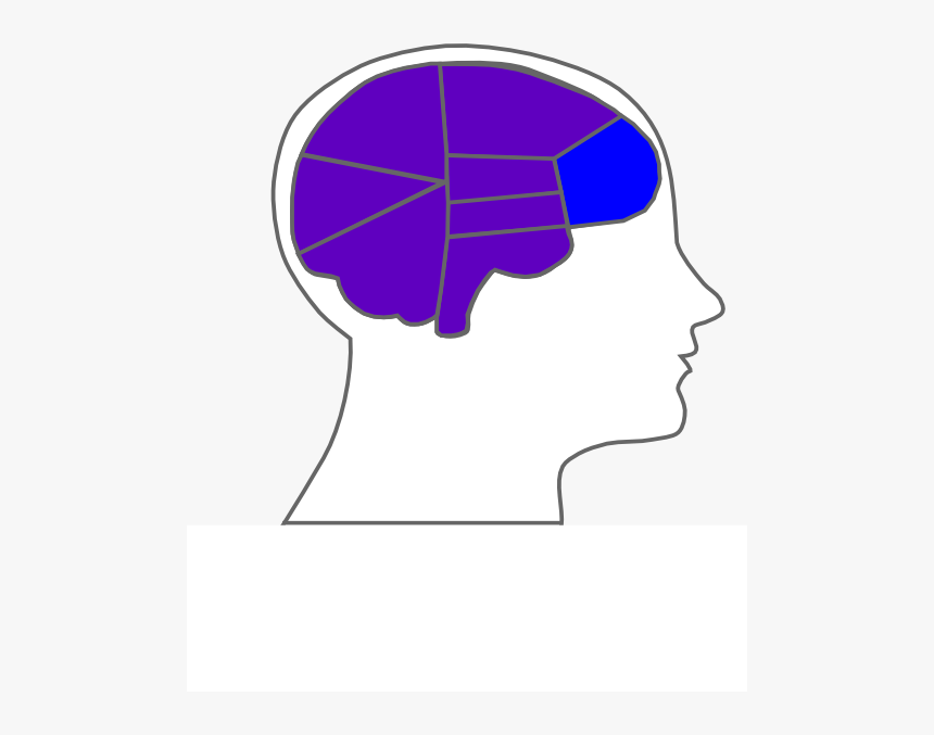 Head And Brain Outline Svg Clip Arts, HD Png Download