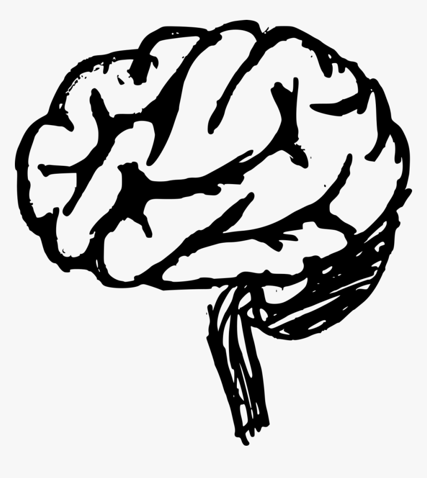 Drawing Transparent Brain - Drawn Brain Transparent, HD Png Download
