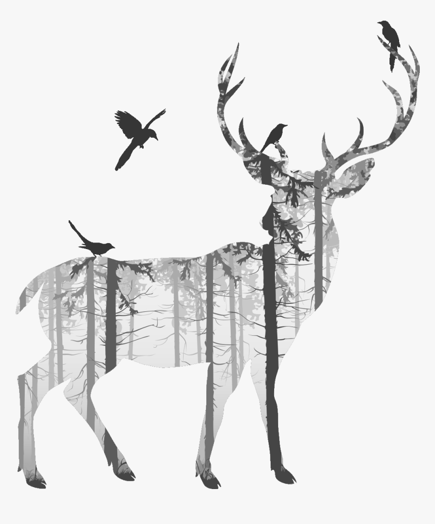 Deer Photography Transprent Png Free Download Black - Deer Drawing, Transparent Png