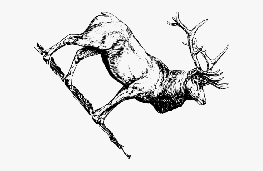 Transparent Elk Silhouette Png - Elk Vector Clipart Free Black And White, Png Download