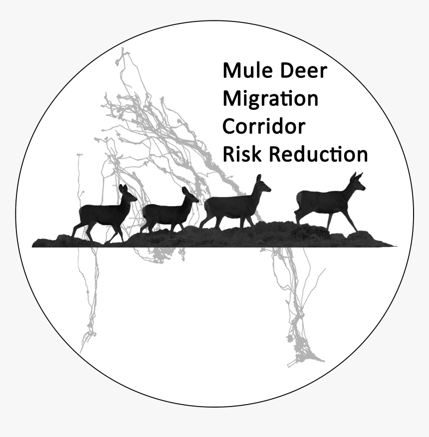 Mule Deer , Png Download - Cartoon, Transparent Png