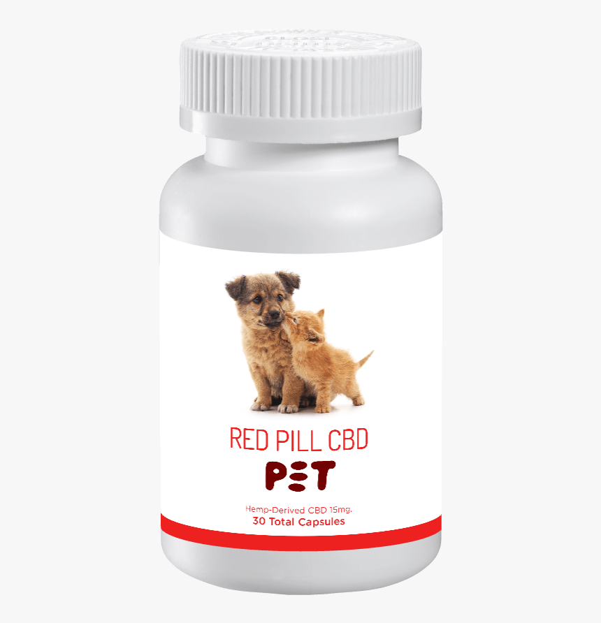 Companion Dog, HD Png Download