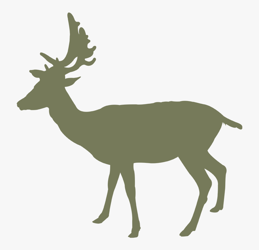 Vector Graphics, HD Png Download