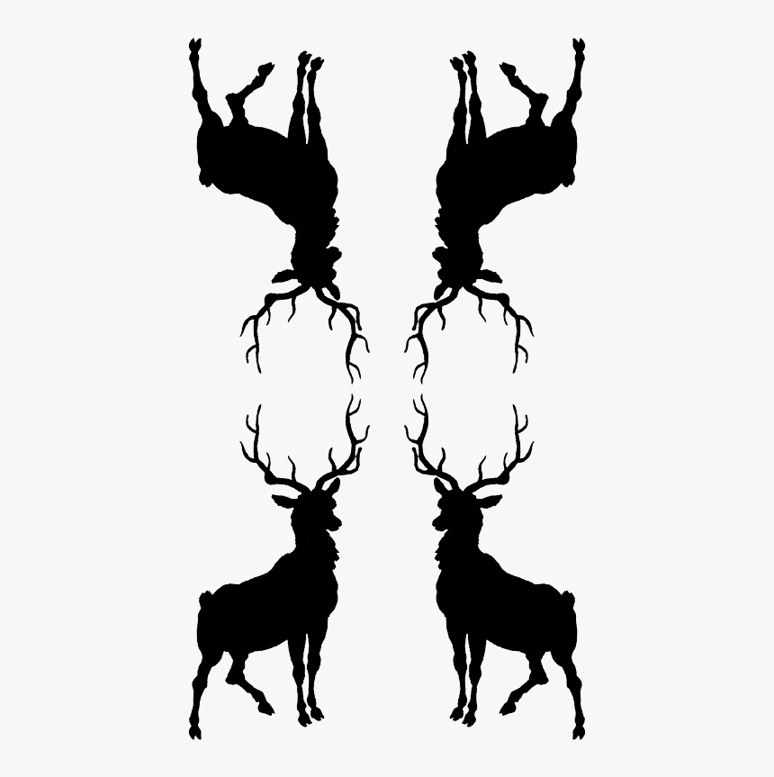 Laminasblanco Y Negro Navidad, HD Png Download