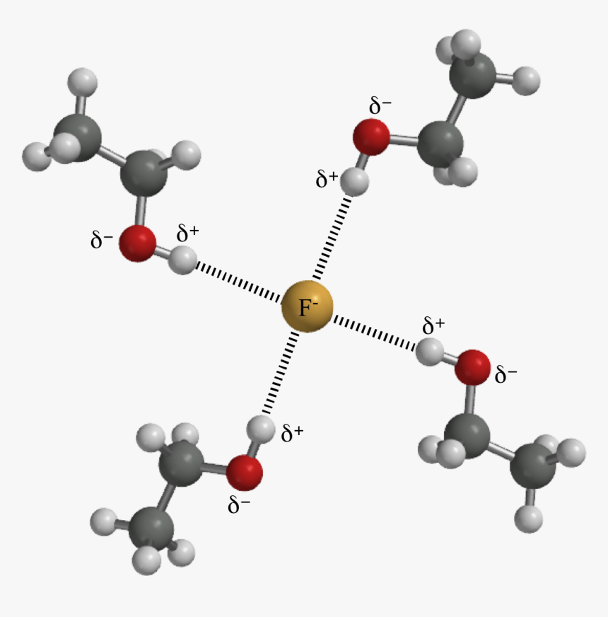 Src Hydrogen Bond03 - Chemical Bond, HD Png Download