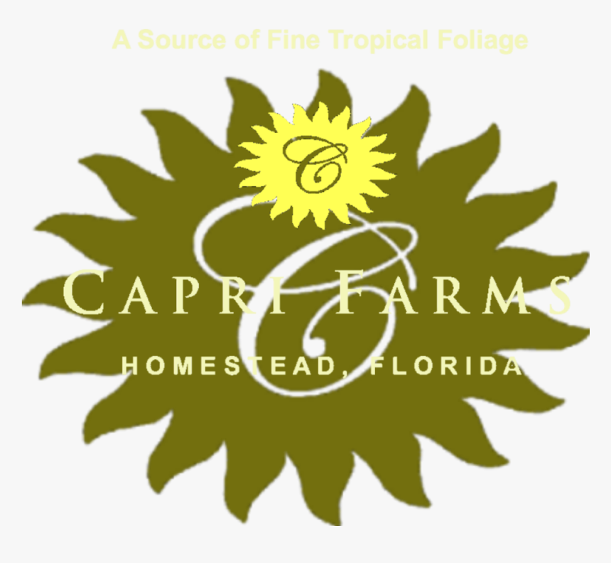 My Valentine! (anti-crisis Girl), HD Png Download