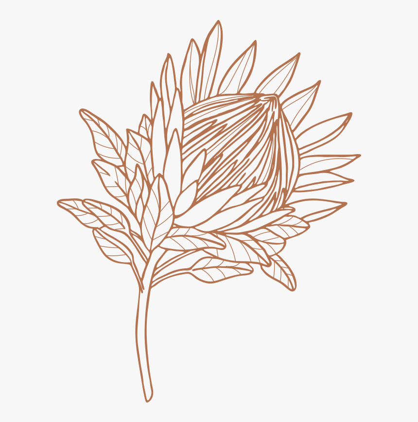 Drawing, HD Png Download